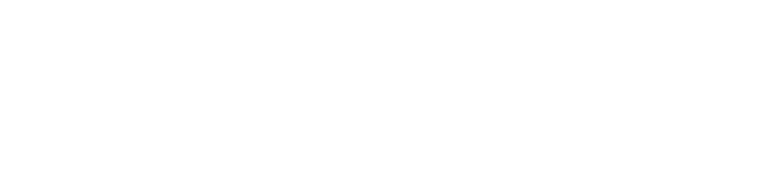 Wellbenix Logo